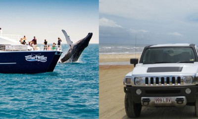 Fraser Island Hummer & Whales Package